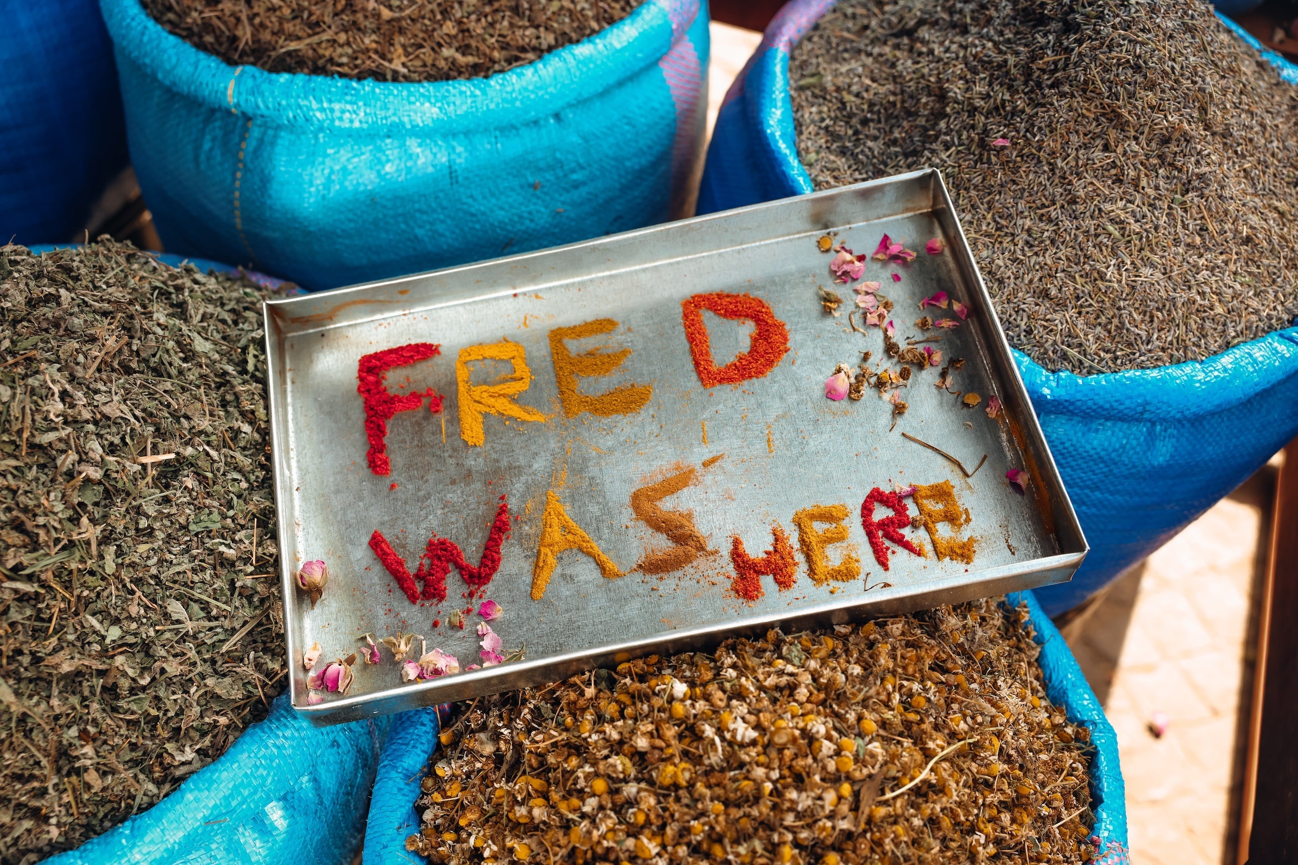A FISH NAMED FRED